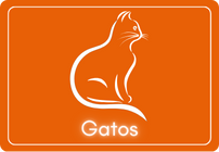 Categorias