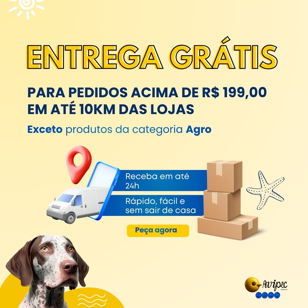 ENTREGA