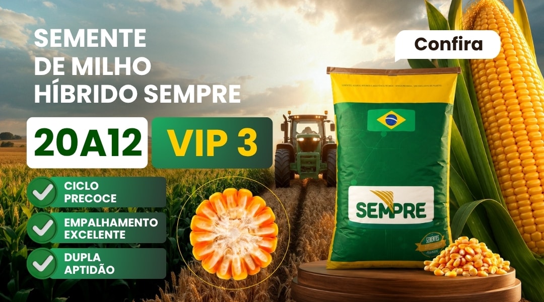 milho