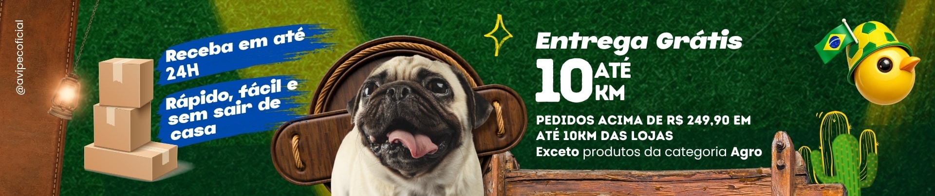 ENTREGA 10KM