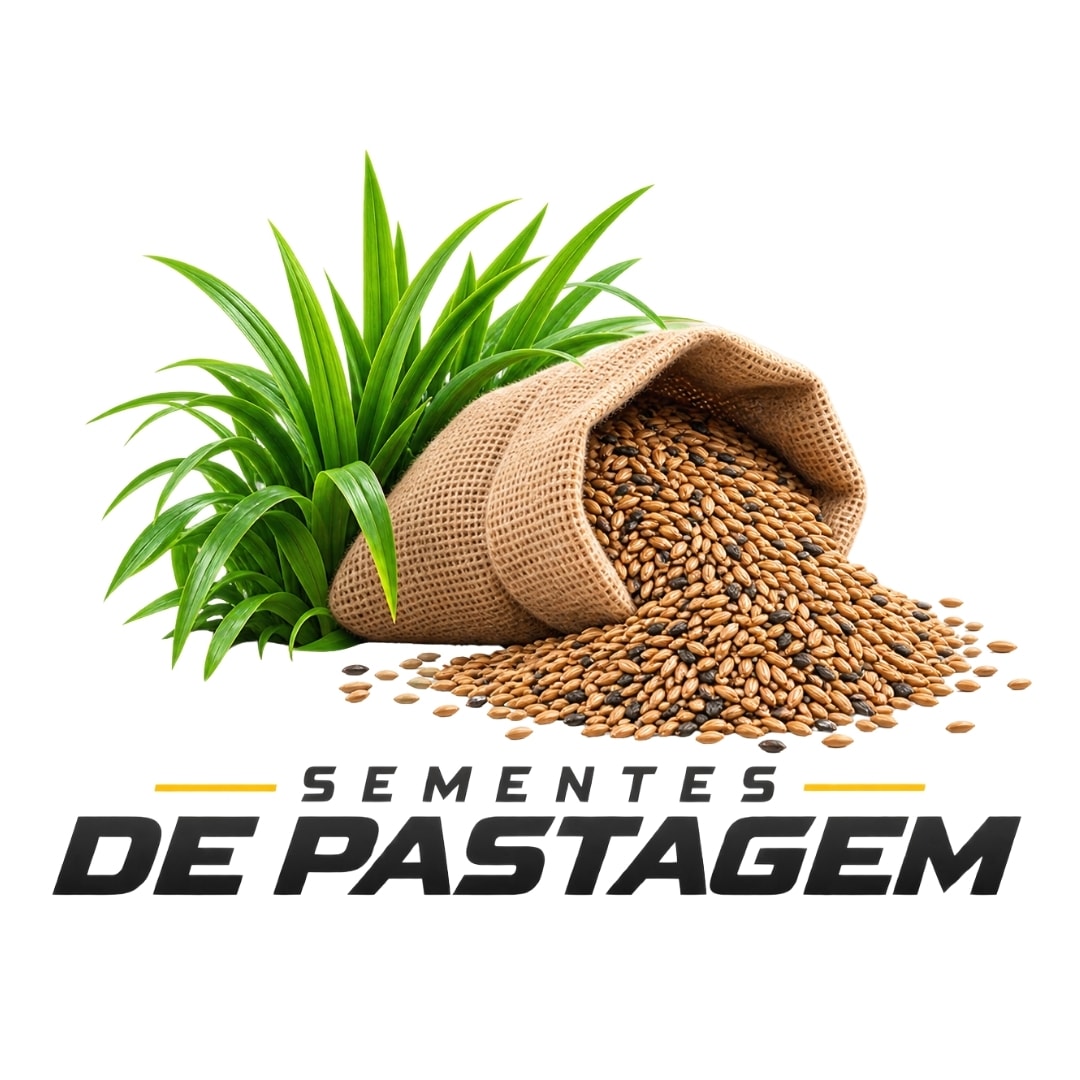 Categorias-a