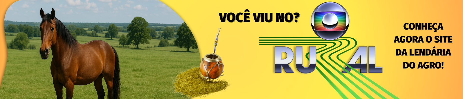globo rural