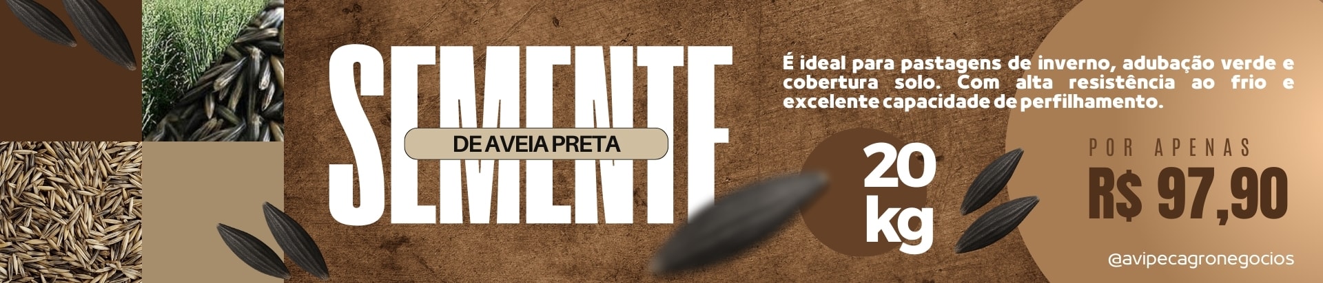 aveia preta