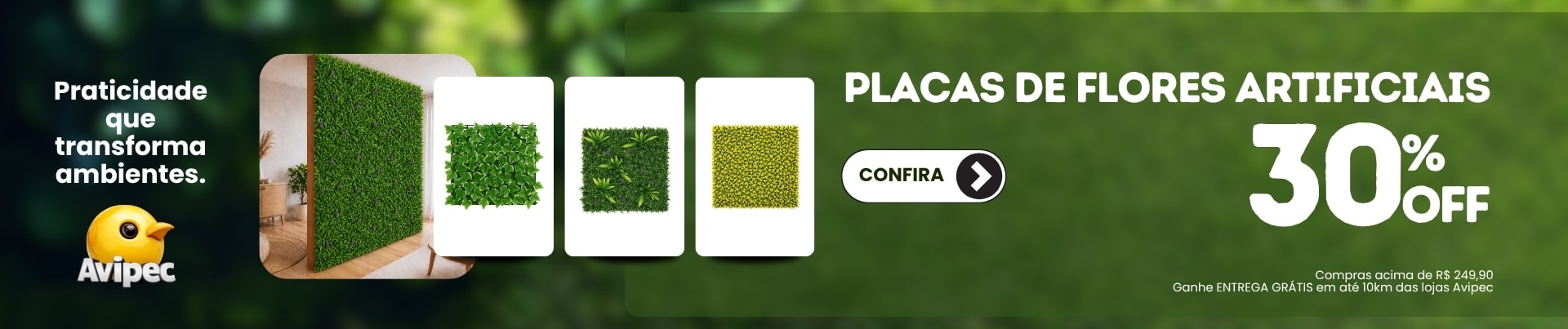 placa