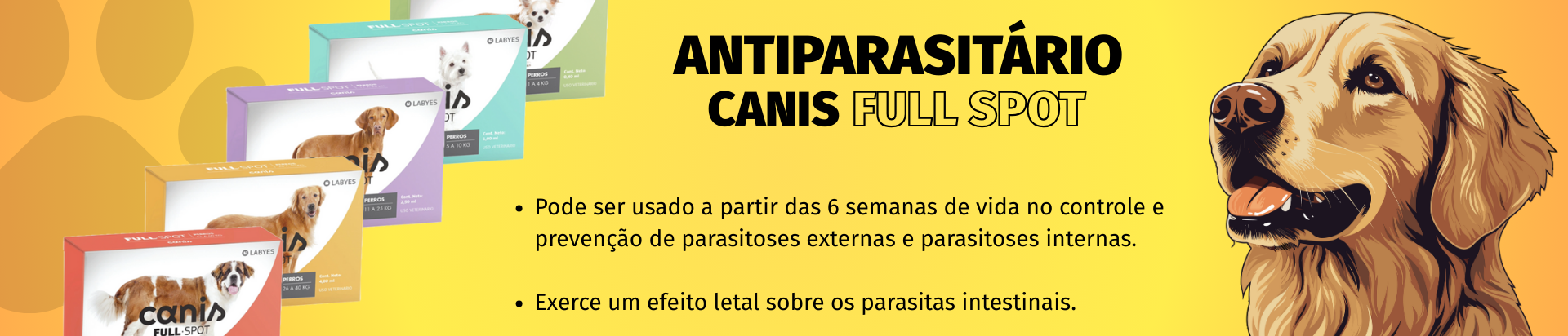 canis