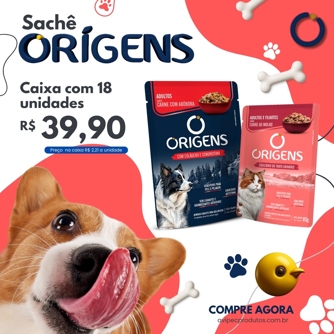 sache origens