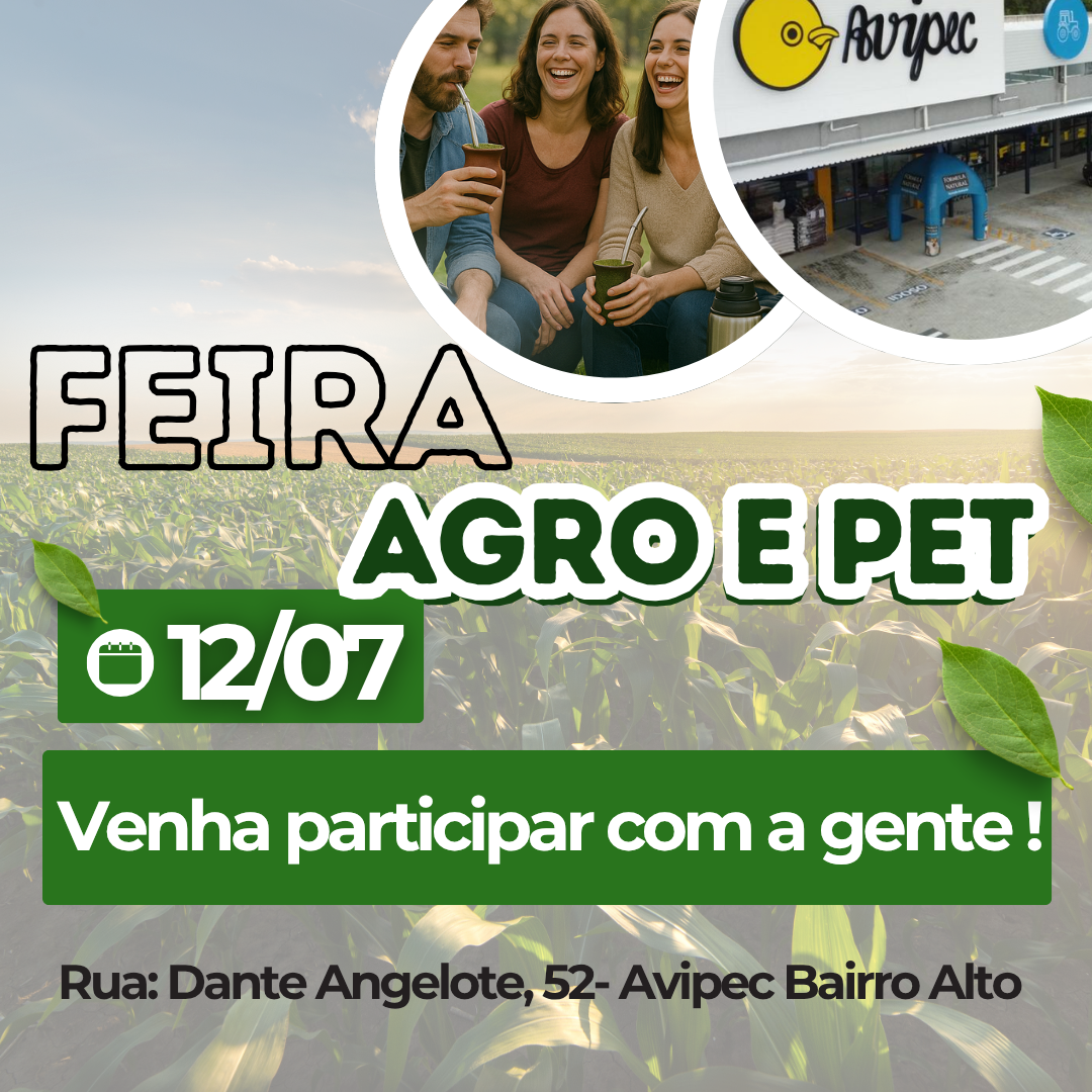 Feira