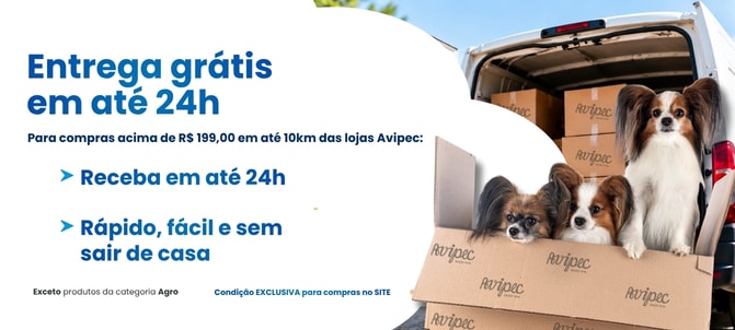 entrega