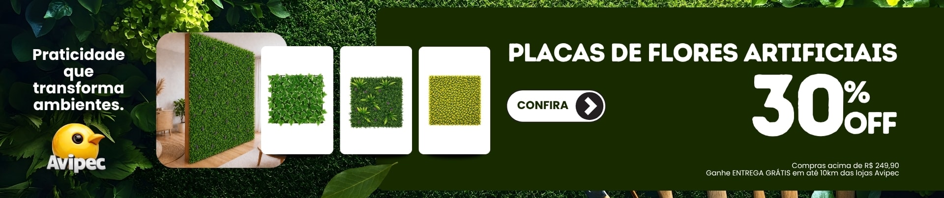 placa