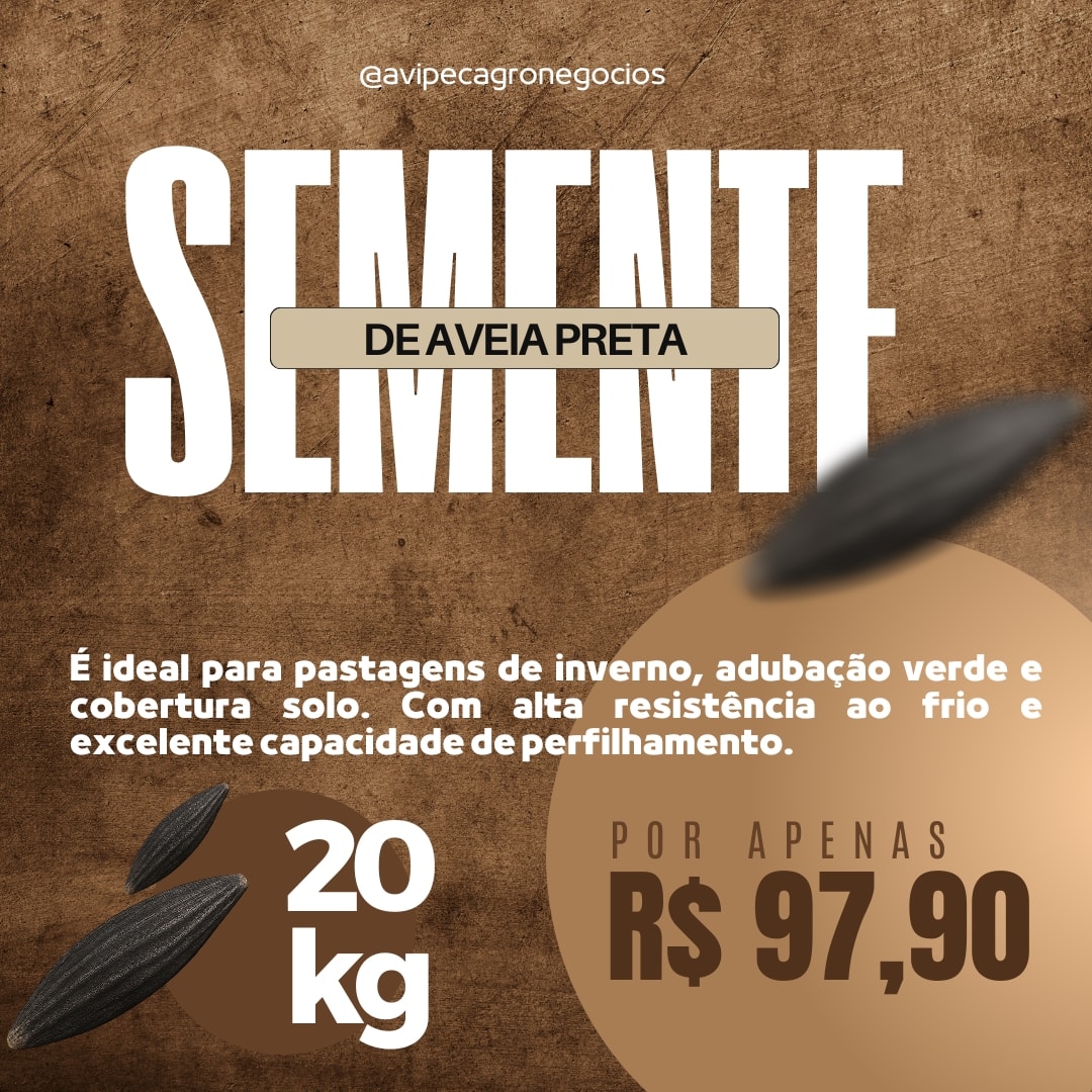 aveia preta
