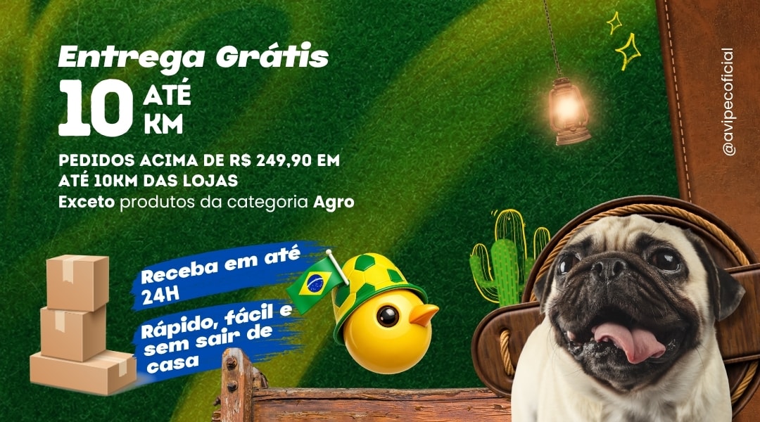 ENTREGA