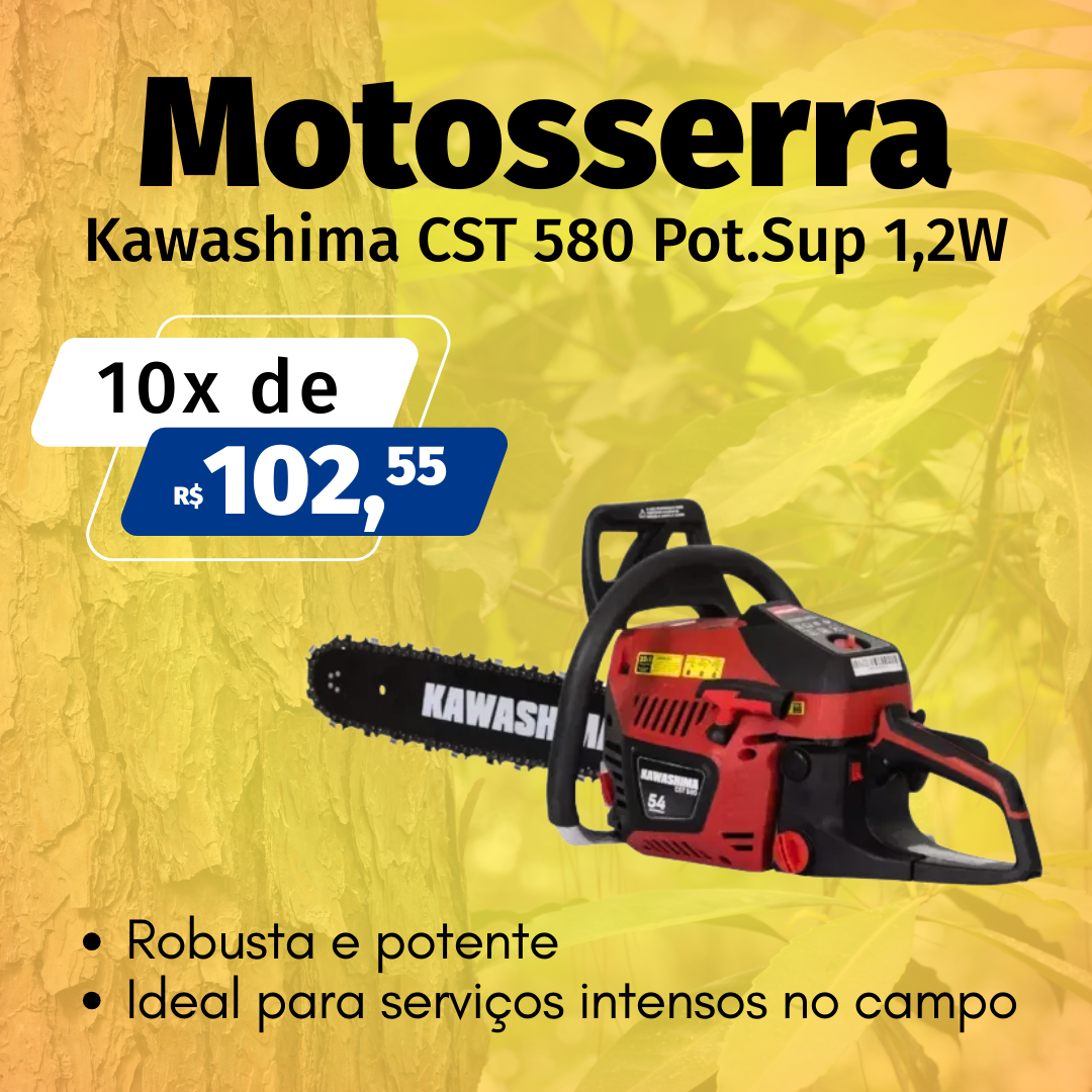 Motosserra