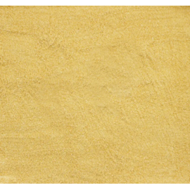 ALCON CLUB PAPA FILHOTES PSITACIDEOS 160GR ALCON CLUB PAPA FILHOTES PSITACIDEOS 160GR