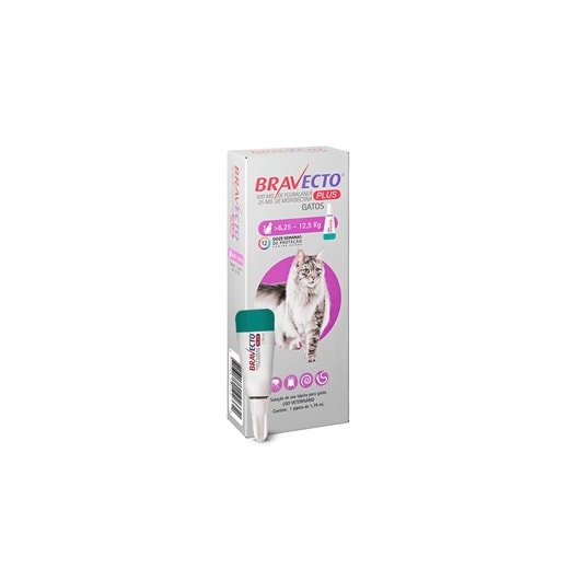 Antipulgas Bravecto Plus Gatos 500mg 6,25 a 12,50kg
