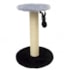 Brinquedo Arranhador Ref.1828-5 Pl Cinza 40x55Cm São Pet