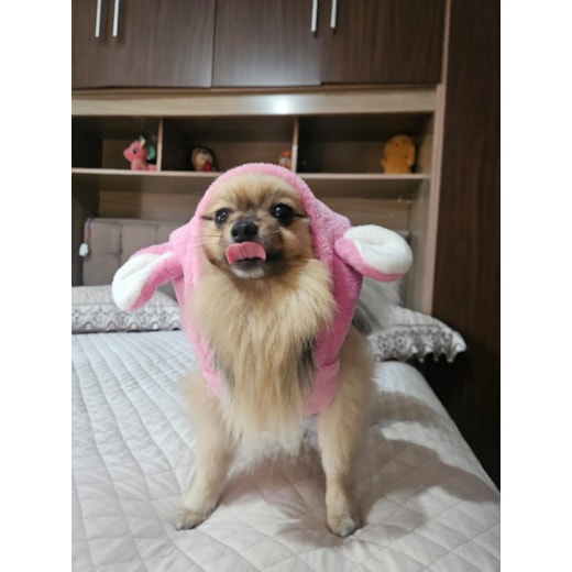 Casaco Stitch Rosa M Ref.3601