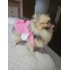 Casaco Stitch Rosa M Ref.3601
