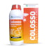 Colosso Pulverização 1 Litro