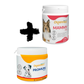 COMBO ORGANNACT MAMMY DOG 120G PROMUN DOG 150G