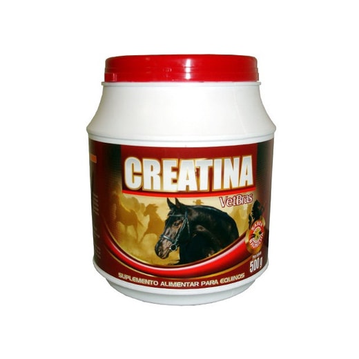 CREATINA VETBRAS 500GR