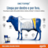 Dectomax 250 mL Zoetis