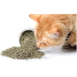 Erva Do Gato Catnip 3g