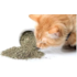 Erva Do Gato Catnip 3g