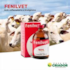 Fenilvet 100ml Vansil