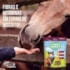 Funny Horse Supra 450g
