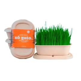 Graminha Gato 100% Orgânica Trigo e Vermiculita 150g
