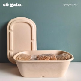 Graminha Gato 100% Orgânica Trigo e Vermiculita 150g