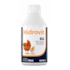 Hidrovit Suplemento para Pássaros 50ml