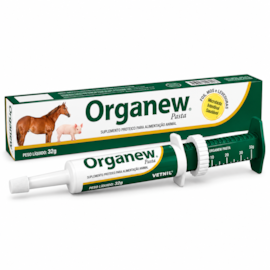 Organew Pasta 32gr