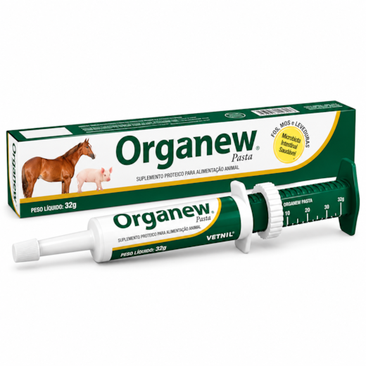 Organew Pasta 32gr