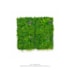 Parede Verde Artificial Bromelia/Dracena 100x100