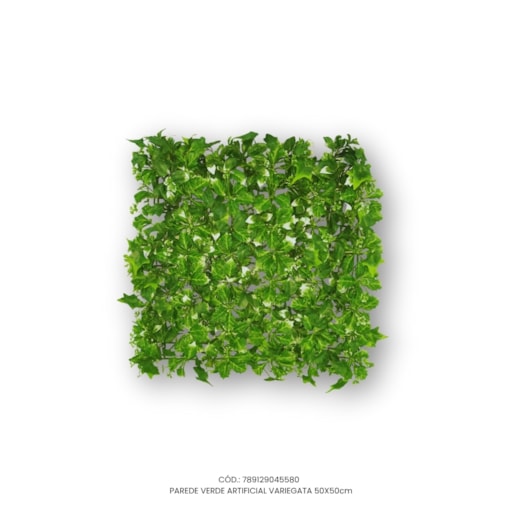 Parede Verde Artificial Hera/Variegata 50x50