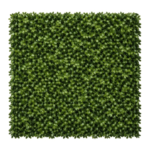 Placa de Planta Artificial Buxinho 50x50
