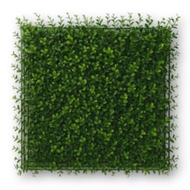 Placa de Planta Artificial Buxinho Verde 50x50