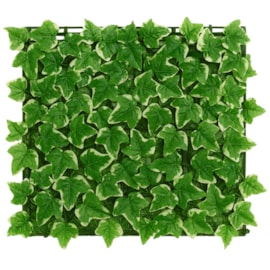 Placa de Planta Artificial Hera/Variegata 50x50