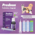 Prednon Oral 4mg ou 30ml