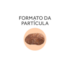 Ração Caes Gran Plus Adulto Medio/Grande Peru/Arroz Gourmet 15Kg