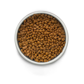 Ração Cães Guabi Adulto Mini/Pequeno 1Kg Frango/Lentilha