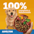 Ração Cães Pedigree Dry Carne e Vegetais 15Kg