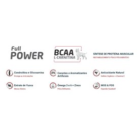 RACAO CAES PET PALATTO AD FULL POWER 15KG FRG/ARROZ