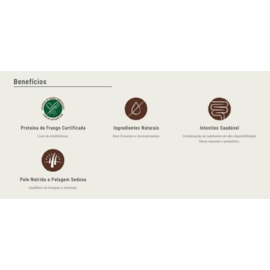 Ração Cães Premier Nattu Adulto Raças Pequenas Abóbora 2,5kg