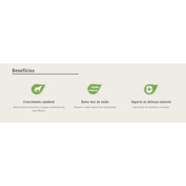 Ração Cães Premier Seleção Natural Filhotes Raças Pequenas 1kg Frango