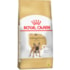 RACAO CAES ROYAL CANIN BULLDOG FRANCES ADULTO 2,5KG