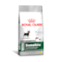 RAÇÃO CÃES ROYAL CANIN MINI SENSIBLE 01KG