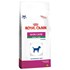 RACAO CAES ROYAL CANIN SKIN CARE AD SMALL 02KG