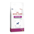 RAÇÃO CÃES ROYAL CANIN SKIN CARE JUNIOR SMALL 02KG